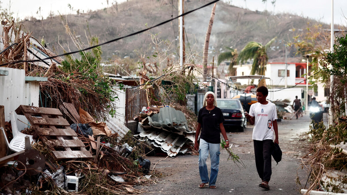 DIRECT. Mayotte : 4,6 millions d'euros de dons recueillis lors de la soirée solidaire sur France 2