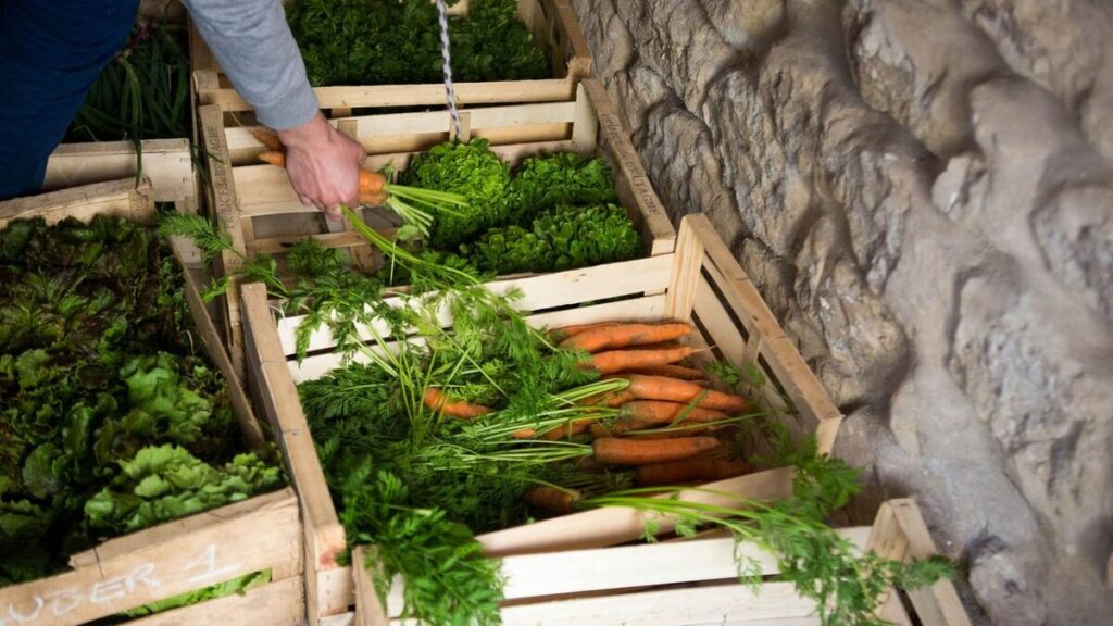 Dérèglement climatique : inquiets, les Franciliens prêts à payer plus pour préserver leur qualité de vie