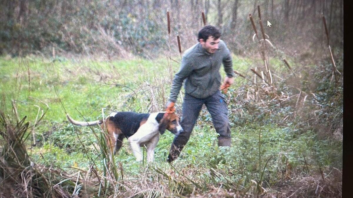 Des chiens de chasse à courre font irruption... chez Yann Arthus-Bertrand : le photographe a déposé plainte