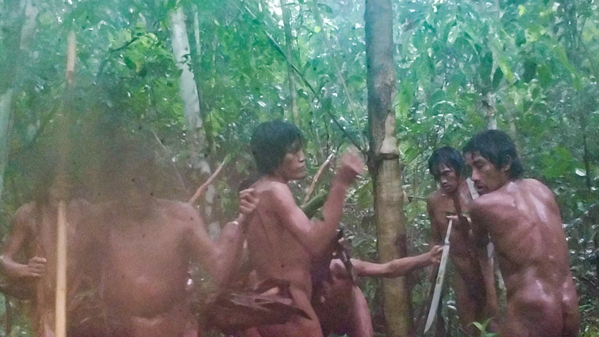 Des images inédites dévoilent un premier aperçu d’une communauté amazonienne isolée dans la forêt brésilienne