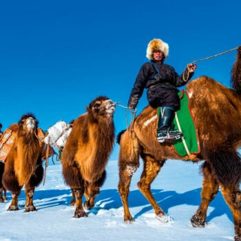 En Mongolie, un nouvel an chez les chameliers du Gobi