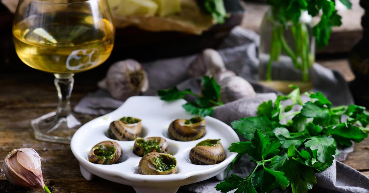 Fêtes de fin d’année : comment recycler les coquilles d’escargot au jardin ?