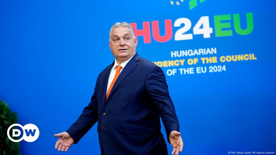 Flüchtig, rechts, korruptionsverdächtig? Orban gewährt Asyl