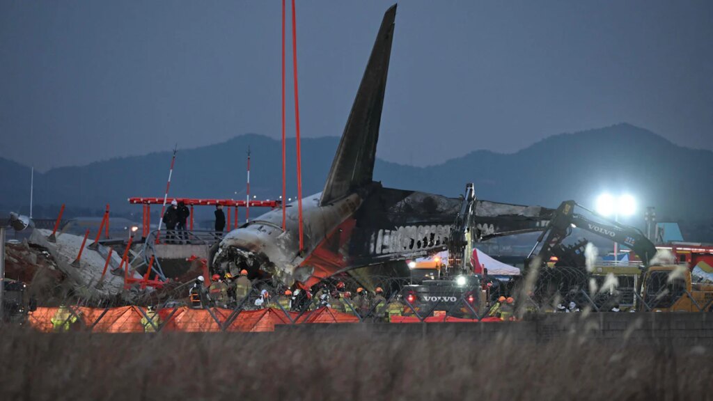 Flugzeugabsturz in Südkorea: Im Verdacht stehen die Vögel