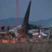 Flugzeugabsturz in Südkorea: Im Verdacht stehen die Vögel