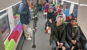 « Franchement, j’adore » : plus spacieux et plus fiables, les trains nouvelle génération arrivent sur le RER D