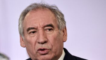 François Bayrou et l’environnement : un intérêt distant malgré quelques engagements pour une « écologie positive »