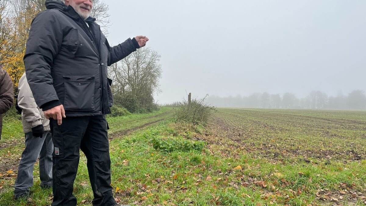 Future prison à Noiseau : des opposants au projet dénoncent « une catastrophe » pour de nombreux oiseaux