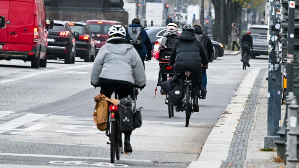 Das Land will ein Leasingangebot für normale Räder und E-Bikes einführen. (Symbolbild) Foto: Jens Kalaene/dpa