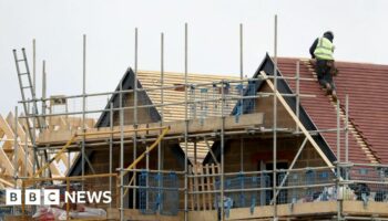 Housing plans not war on rural England, says minister