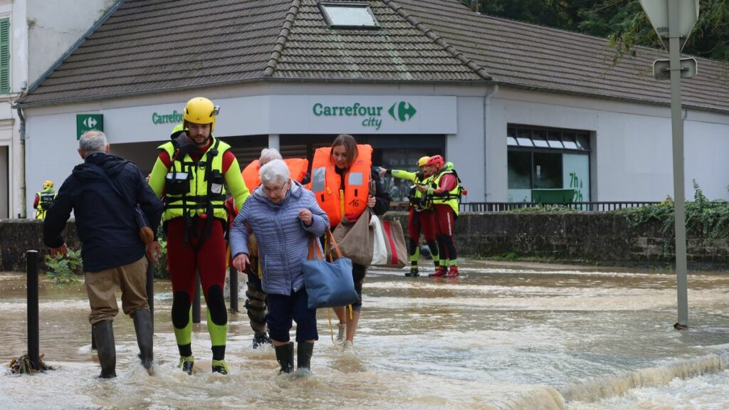 Inondations, feux de forêts, sauvetages : les pompiers de Seine-et-Marne distingués