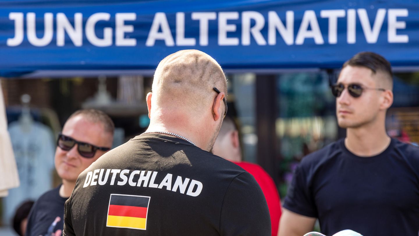 Junge Alternative in der Kritik: Zu radikal? AfD-Spitze plant neue Jugendorganisation