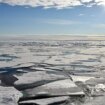 Klimawandel: Ist die Arktis in drei Jahren eisfrei?