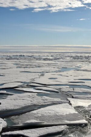 Klimawandel: Ist die Arktis in drei Jahren eisfrei?