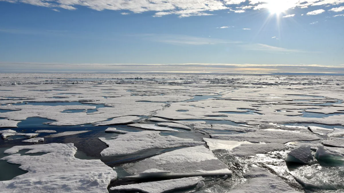 Klimawandel: Ist die Arktis in drei Jahren eisfrei?