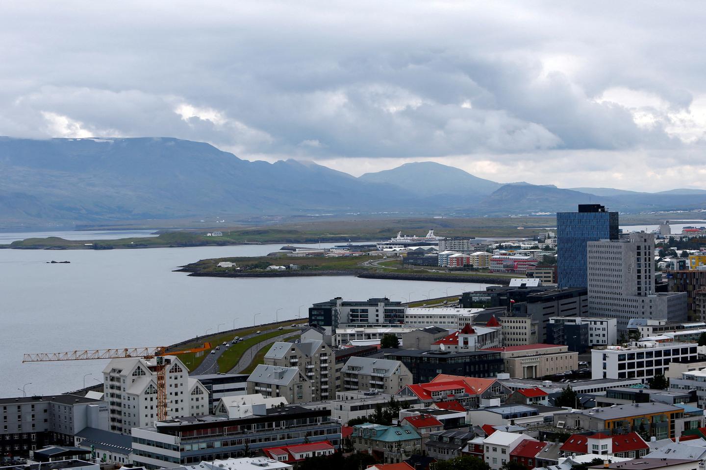 L’Islande autorise la chasse à la baleine jusqu’en 2029