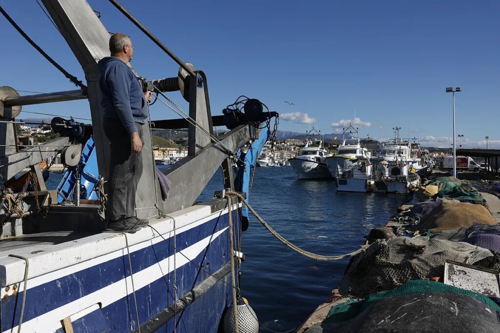 La UE logra un acuerdo sobre la pesca de 2025 en el Atlántico y el Mediterráneo