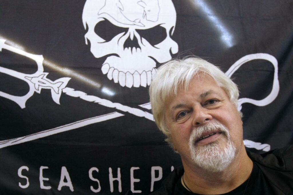 La méthode Paul Watson : « l’arme la plus puissante du monde, c’est la caméra »