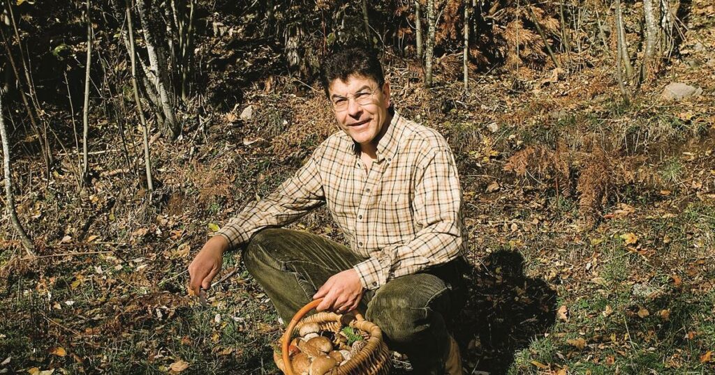 Le chef Régis Marcon dévoile sa meilleure technique pour cueillir et cuisiner les champignons