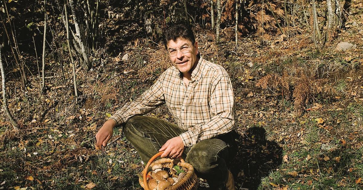 Le chef Régis Marcon dévoile sa meilleure technique pour cueillir et cuisiner les champignons