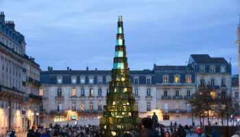 Les mairies ne savent plus à quel sapin se vouer