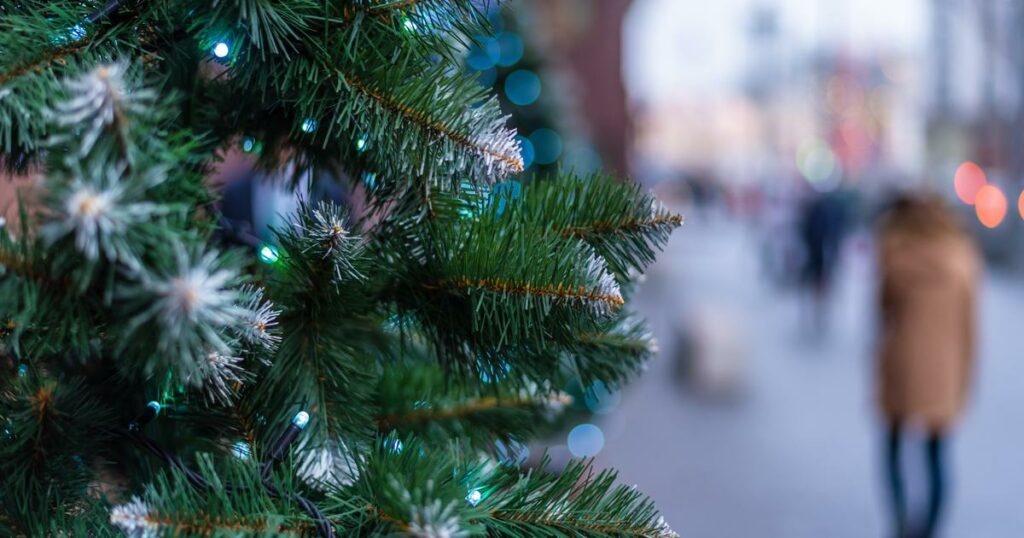 Loin de la «magie de Noël», un sapin dérobé dans un village du Nord, la maire porte plainte