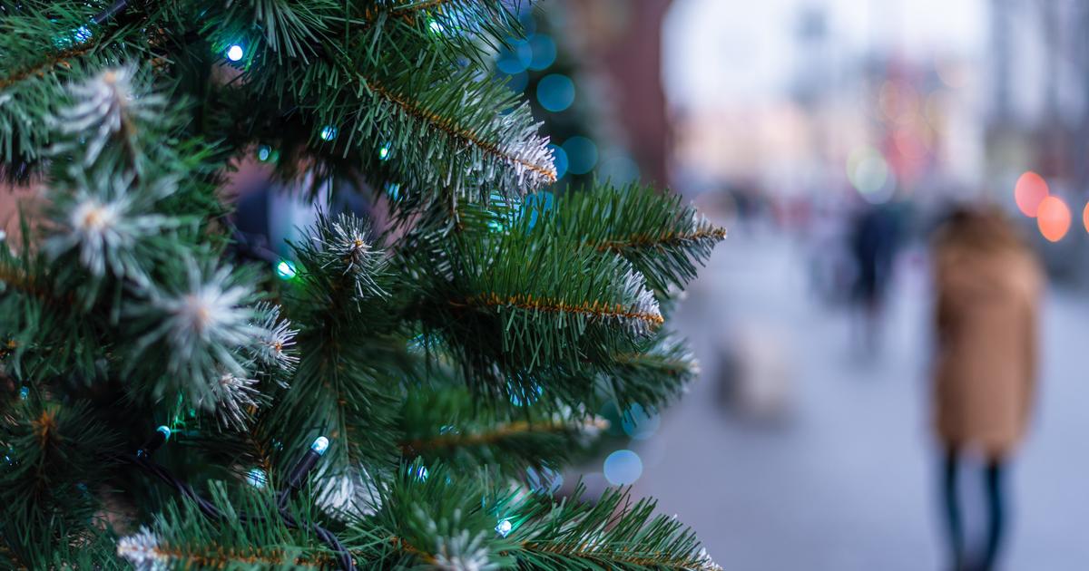 Loin de la «magie de Noël», un sapin dérobé dans un village du Nord, la maire porte plainte