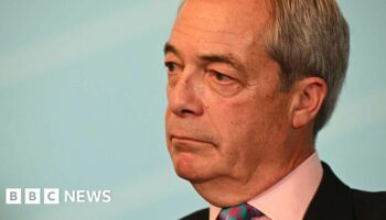 Massive Elon Musk donation news to me, says Farage