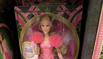 Mattel sued for misprinting porn site link on Wicked Barbie doll packaging