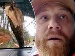 Moment father escapes unscathed after huge tree smashes into his windscreen during Storm Darragh - as 66,000 homes are still without power and national clear-up continues