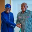 Nigeria seeks South Africa's help to join G20, BRICS