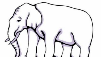 Nobody can work out where elephant's legs are in optical illusion for kids