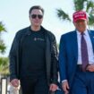 Elon Musk und Donald Trump gehen nebeneinander