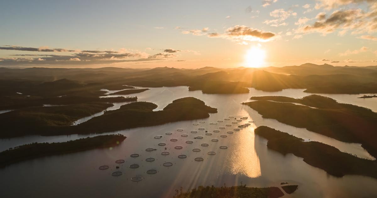 «Notre ambition, être le Hermès du caviar» : à Madagascar, l’incroyable défi de trois entrepreneurs français