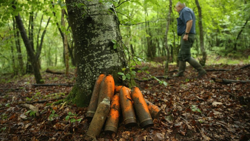 Obus, pollution et «zone rouge»: à Verdun, la nature porte encore les stigmates de la Grande Guerre