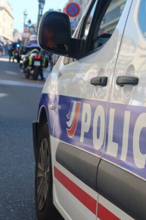 Oise : 520 kg de cannabis destinés au trafic de stupéfiants saisis par la police