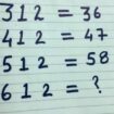 Only those who are maths champions can solve this tricky puzzle in 30 seconds