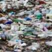 Plastic pollution ban fails, time needed says chair