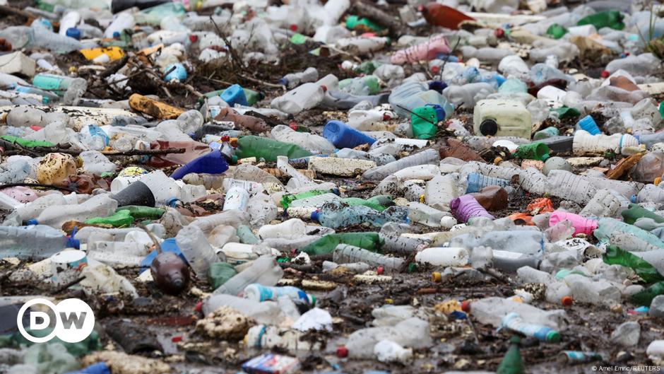 Plastic pollution ban fails, time needed says chair