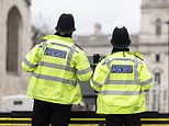 Police unit set up to smash soaring shoplifting rates make nearly 100 arrests and disrupt dozens organised of crime groups