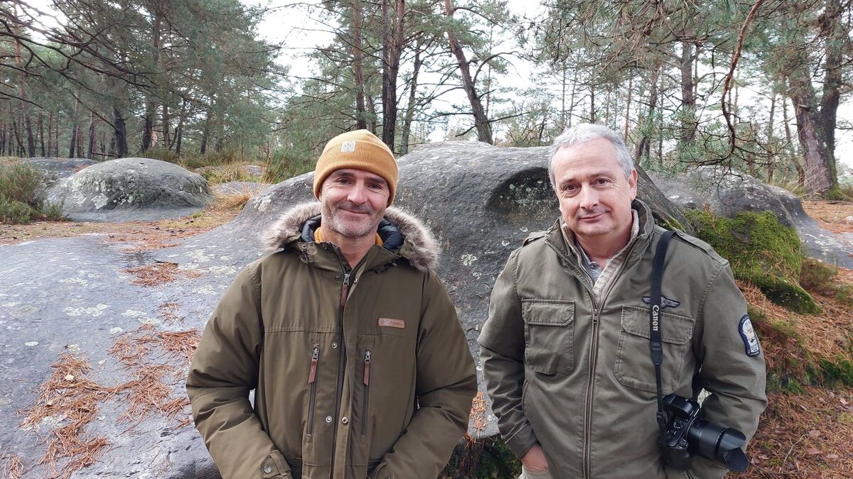 Pour Noël, offrez une sortie avec les meilleurs photographes de la forêt de Fontainebleau