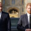 Prince Harry and  William's relationship tipped to be 'mended'  by one member of Royal Family