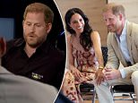 Royal expert slams Harry and Meghan for using their titles to earn 'huge amounts of money' - as bombshell German documentary exposes couple's 'elitist' California lifestyle