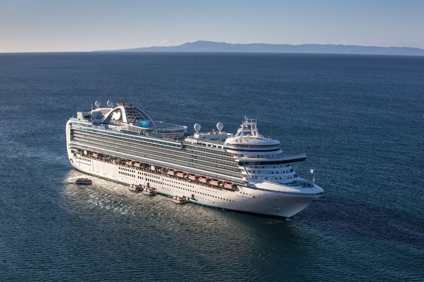 Ruby Princess cruise horror as passenger falls overboard sparking major search