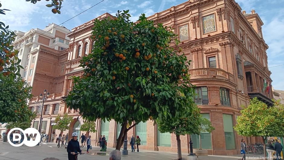 Sevilla kämpft gegen den Klimawandel