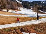 Ski holidays in the Alps could become a thing of the past, scientists warn - as figures reveal snowfall has plummeted by a THIRD since 1920