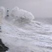 Storm Darragh claims its second victim as man is killed by falling tree landing on his car - while thousands of homes are still without power following brutal 96mph gales