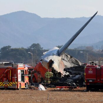 Südkorea: Flugzeug mit 181 Menschen an Bord verunglückt