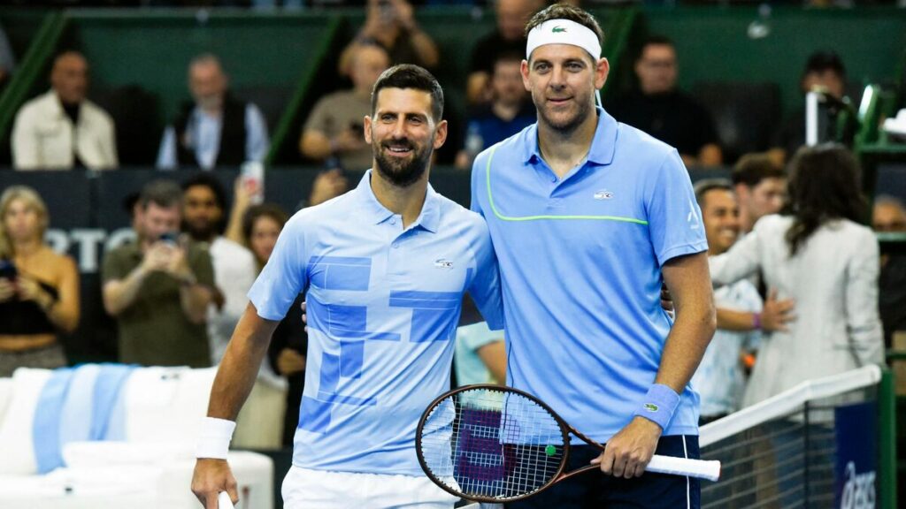 Tennis : « Martin est un exemple pour nous », l’hommage de Djokovic pour les touchants adieux de Del Potro