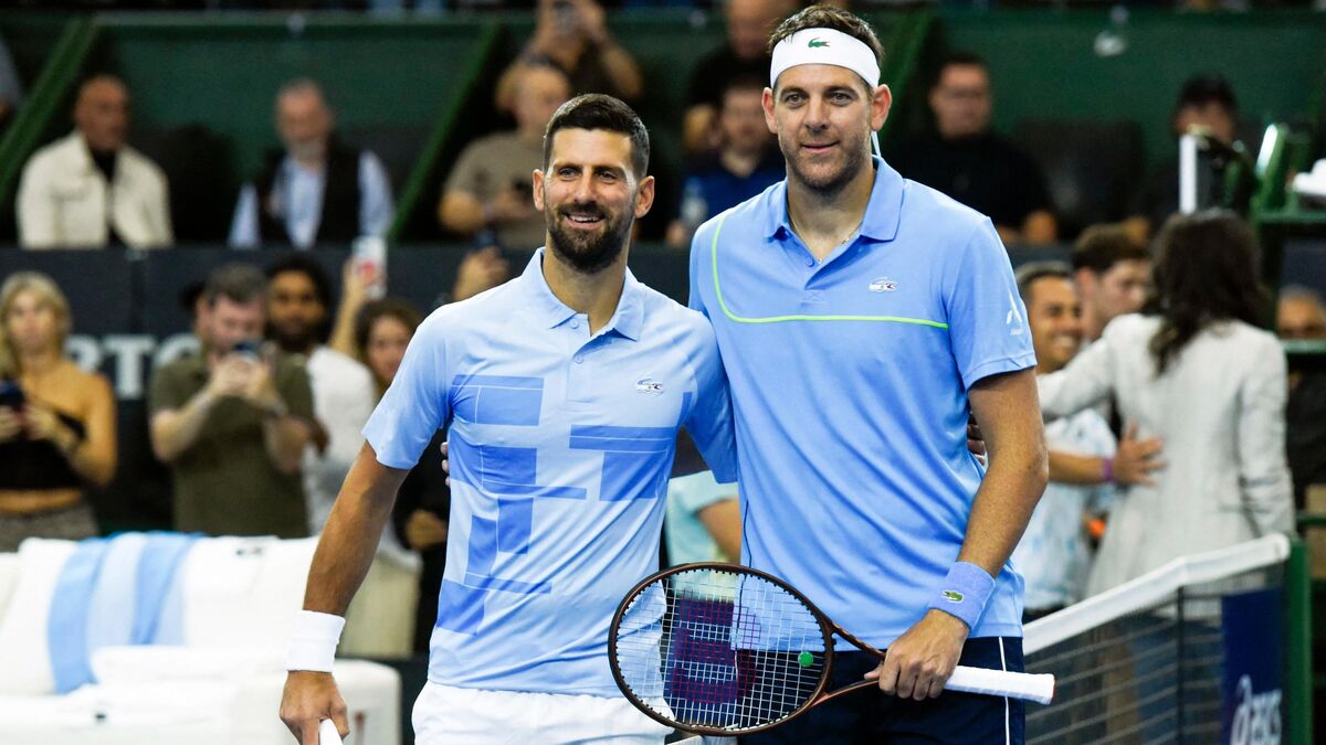 Tennis : « Martin est un exemple pour nous », l’hommage de Djokovic pour les touchants adieux de Del Potro